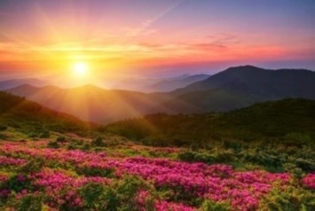 Obituary of Allen Ross Hayward