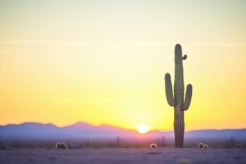 Obituary of Robert Leland Cuming