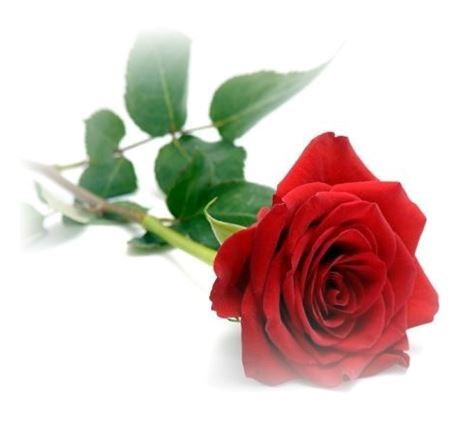 Obituary of Betty Jean Watts