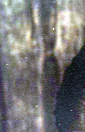 Lynn Marie Stackpole Obituary - St. Paul, MN