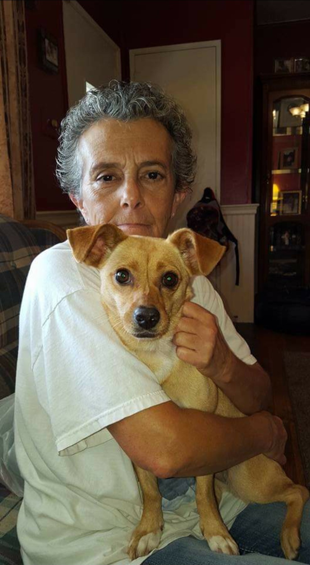 Obituary of Vicky Linn Rexrode