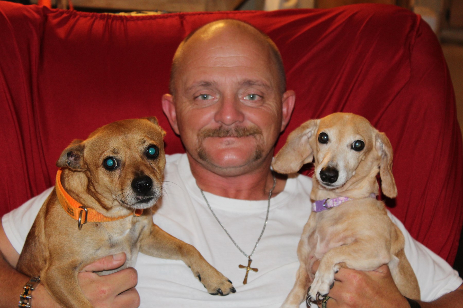 Obituary of Dennis James Carlin