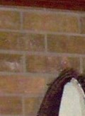 amarillo tx jimmy williams obituaries