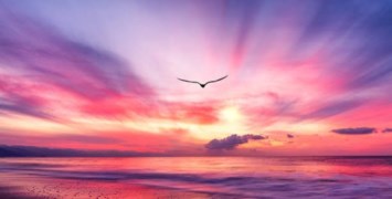 Obituary of Tom Hammons