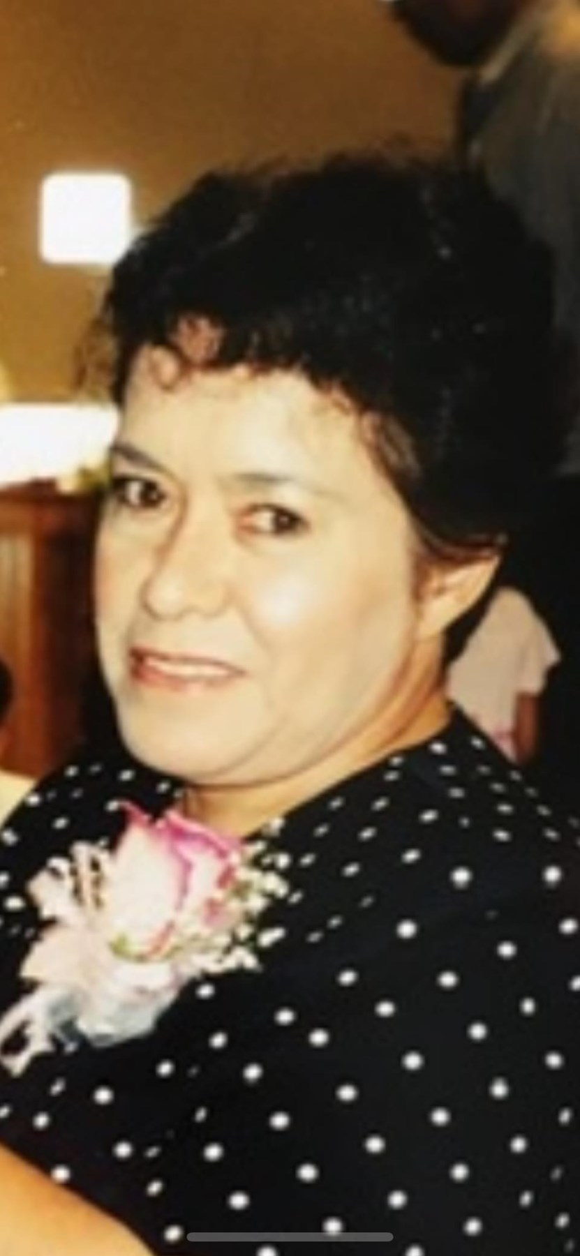 Obituary of Gloria A. Navarro