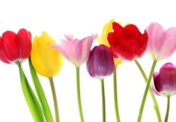 Obituary of Mildred Marie Masters