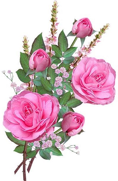 obituary image