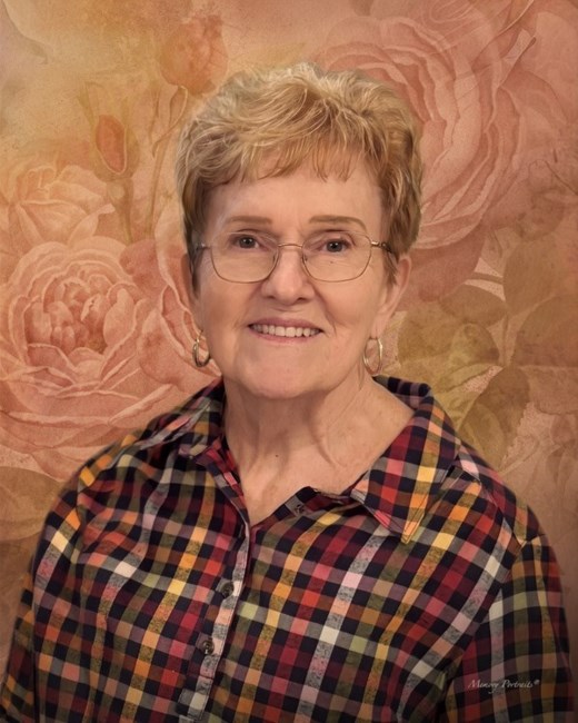 Obituary of Sandra Lee Palmer