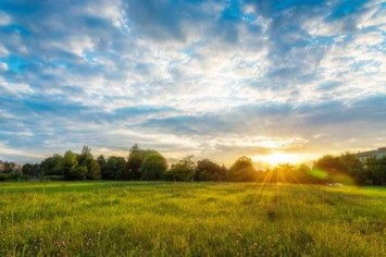 Obituary of Karina Irene Canedy