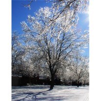 Obituary of Evelyn J. Hanson (Weikel)