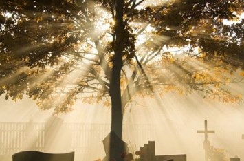 Obituario de William Thomas Timmons