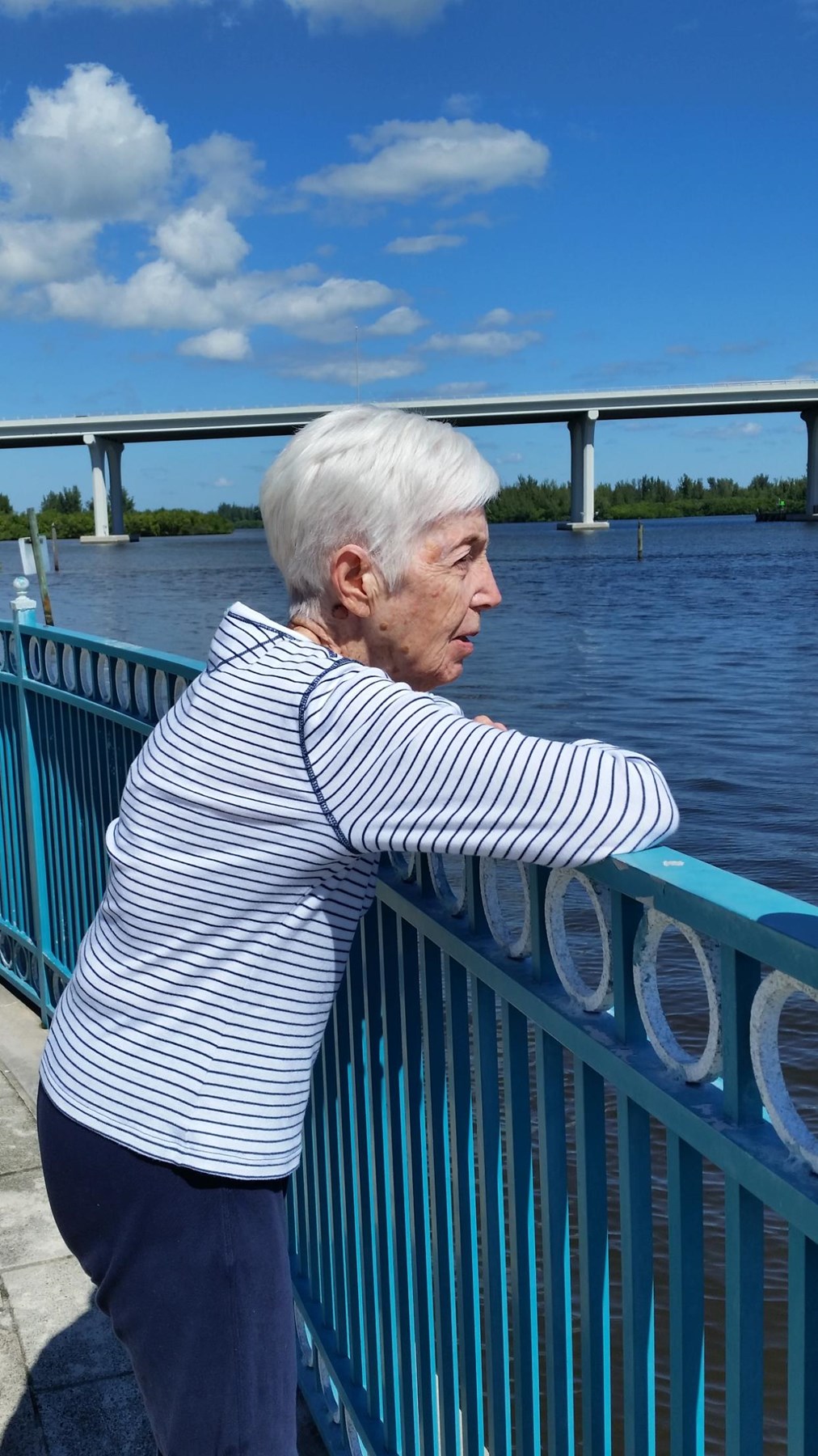 Obituary of Ann T. Tougas