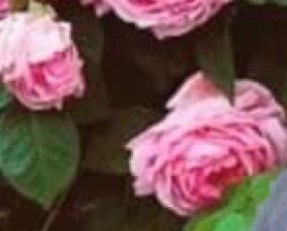 Jacqueline L Woods Obituary - Ellenton, FL