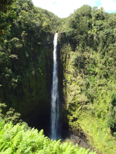 Obituary of James Wai Tong Chong Jr.