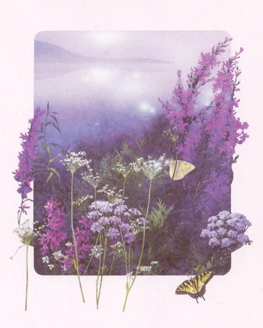 Obituary of Betty Burt