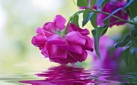Obituary of Mariam Antonyan