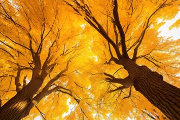 Obituary of Lesa Jean Lemons