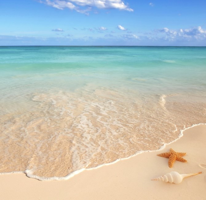 Obituario de Kirk Petroski