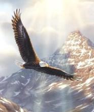 Obituary of John Ed Pierce