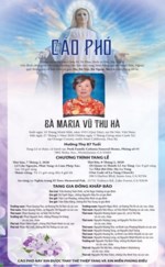 Ha Vu