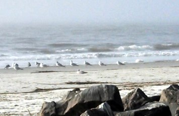 Obituario de Kathryn Lokey Palmer