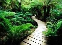 Obituary of Maurice Francis Soucy