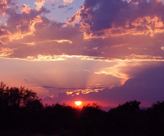 Obituary of Elizabeth J Trammell