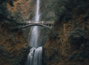 Obituary of Jung Bin Choi