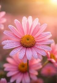 Avis de décès de Margaret "Marge" Makara