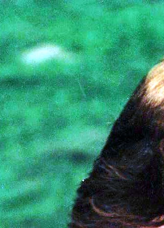 Germaine Bander Obituary - Rochester, MI