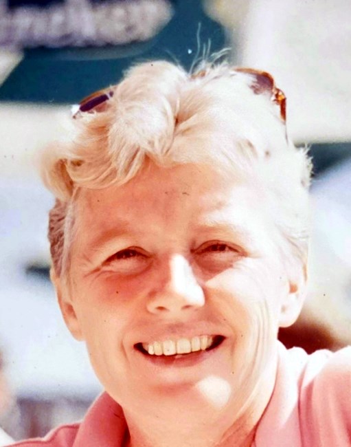 Obituary of Carole Ann Stein