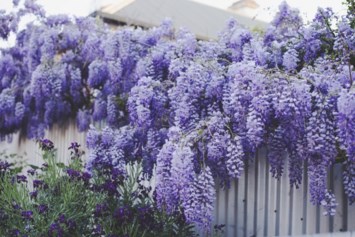 Obituary of James T Pott