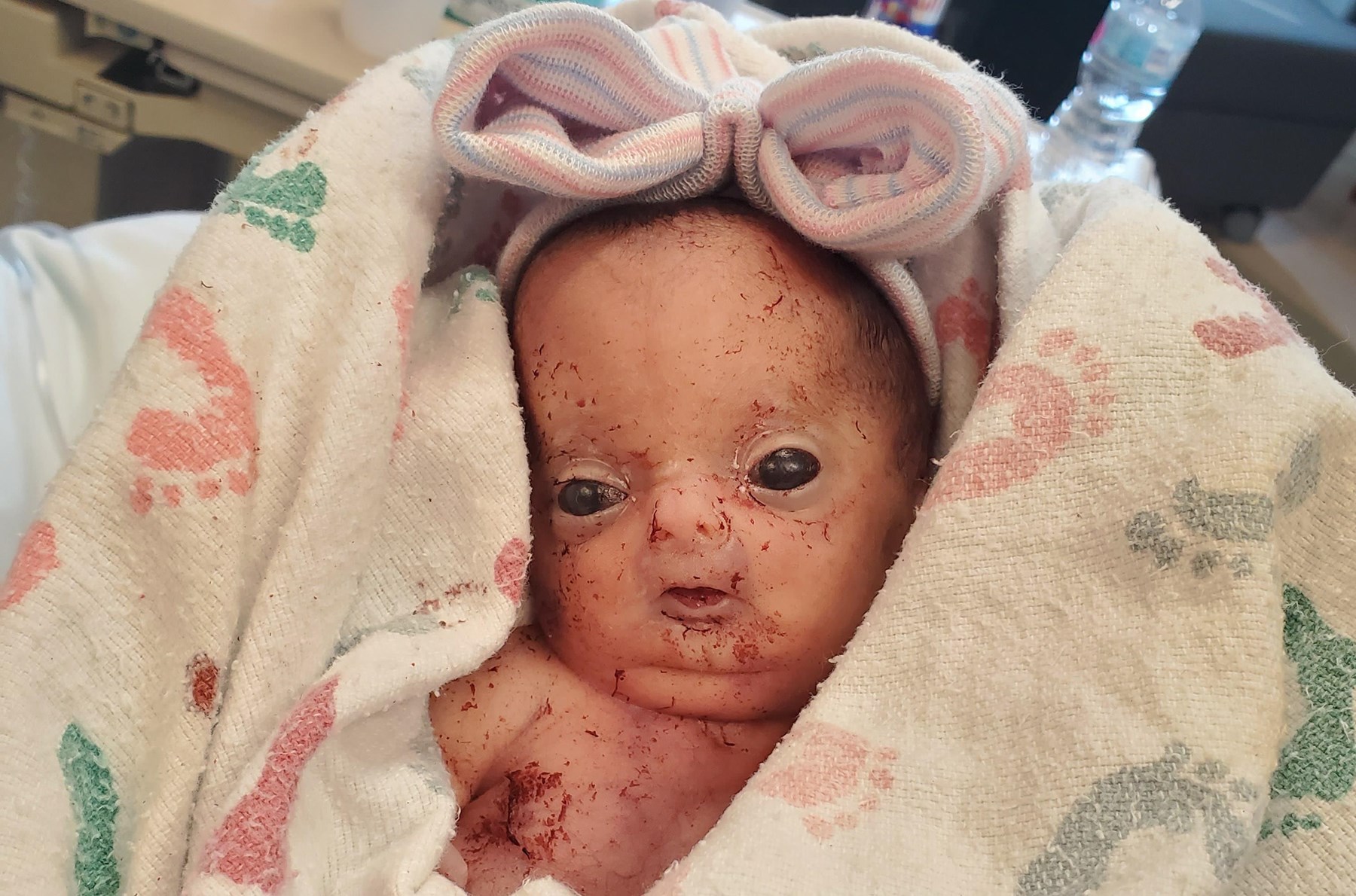 Obituary of Elena Lee