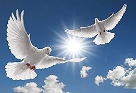 Obituario de Scott Mark Dellay