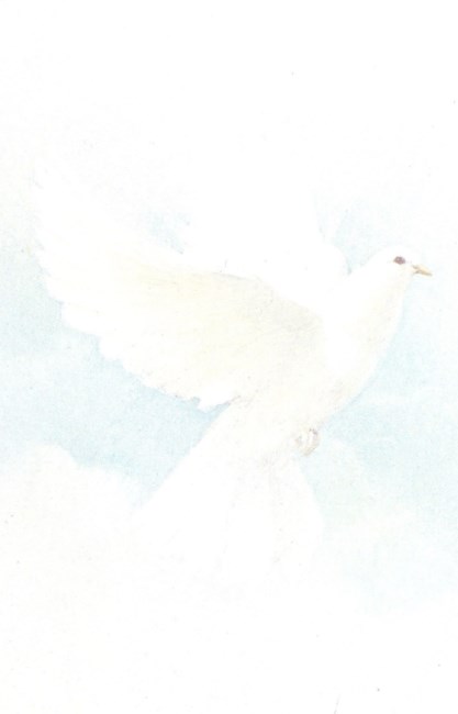 Obituary of Raul Delgado