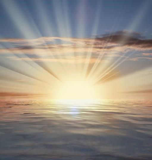 Obituary of Kevin Sheil