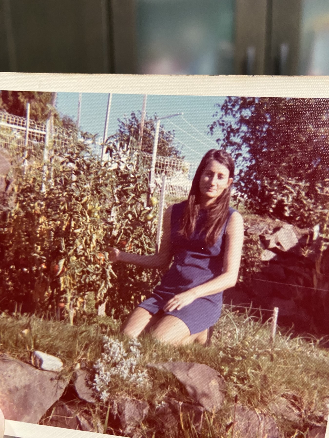 Obituary of Rose Ann Traversie