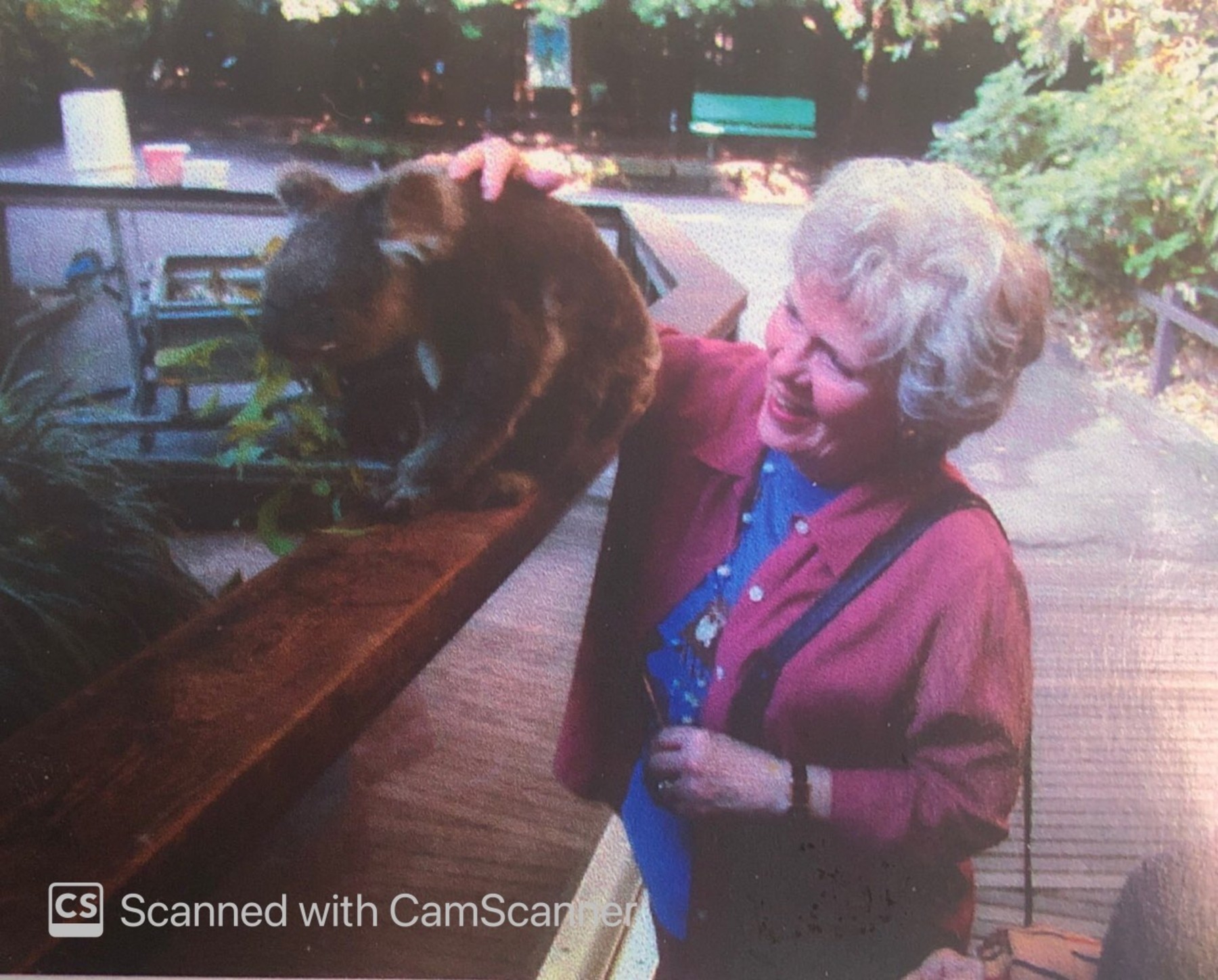 Obituary of Lorraine Eversen Olsen