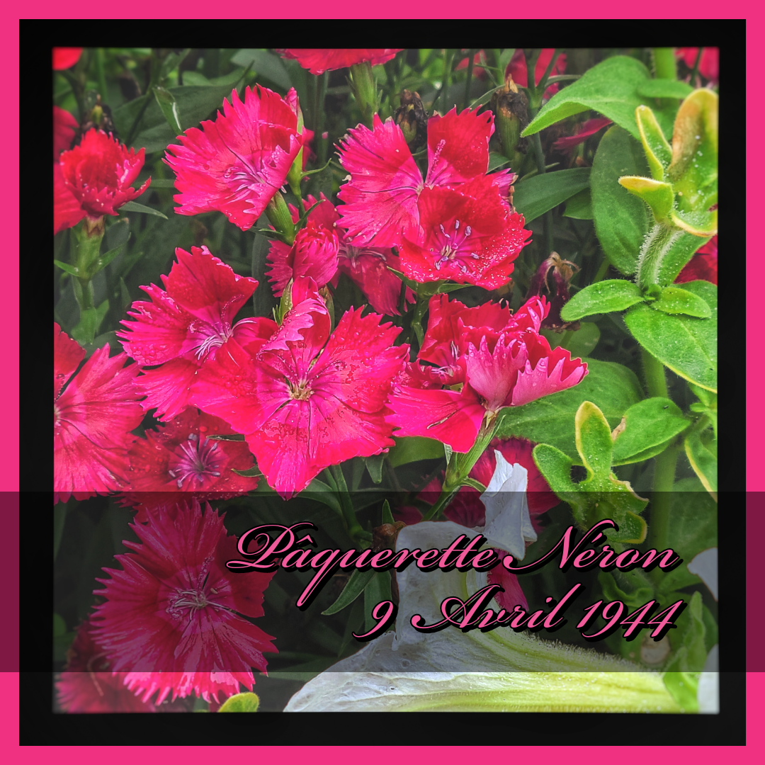 Paquerette Neron Avis De Deces Chicoutimi Qc