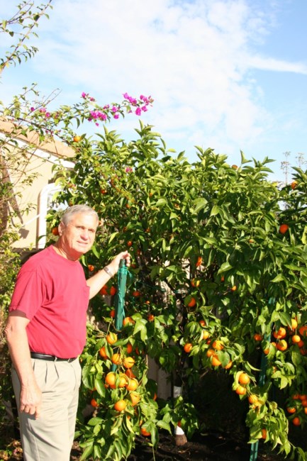 Obituary of Joseph Zohar