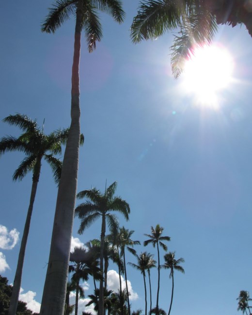 Obituary of Dennis Yau Tin Kealohapauole Wong