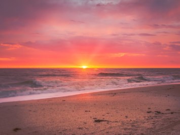 Obituary of Nancy Kay Harter