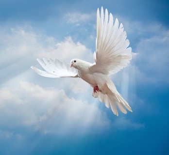 Obituary of Ronald Delbert Meadows