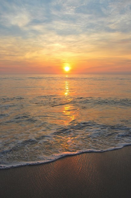 Obituary of Vinni-Marie F Malone