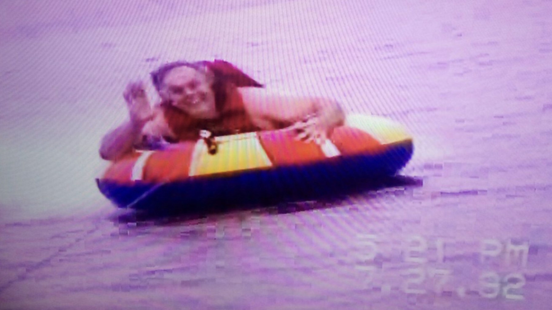 Obituario de Harry Harrison Johnson Jr.