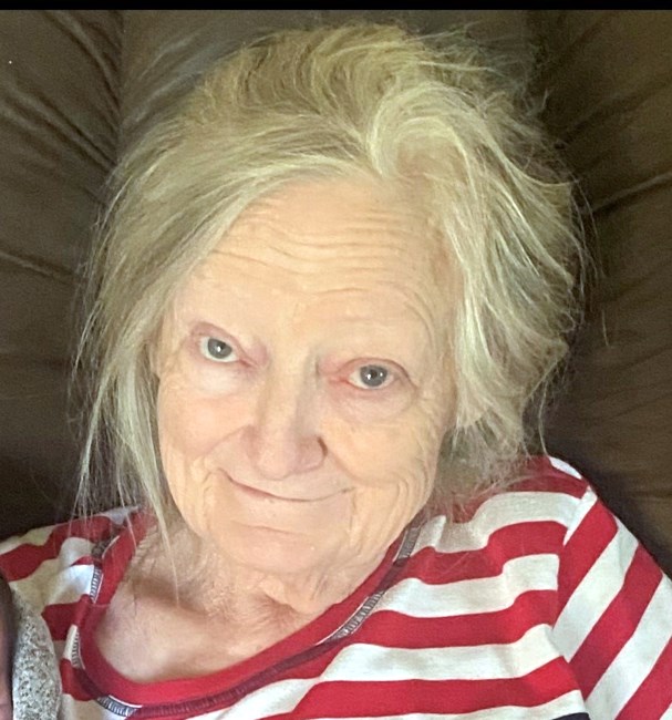 Obituary of Judy Arlene McNees