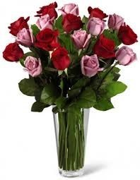 Avis de décès de Frances Katherine Montgomery