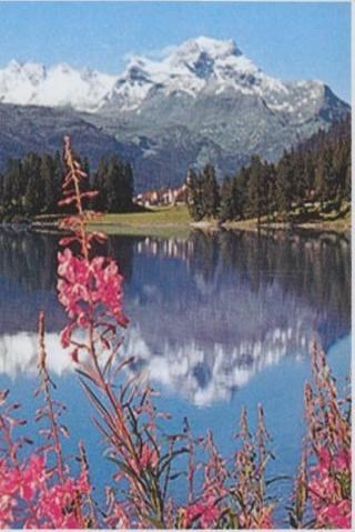 Obituary of Michele Tamayo