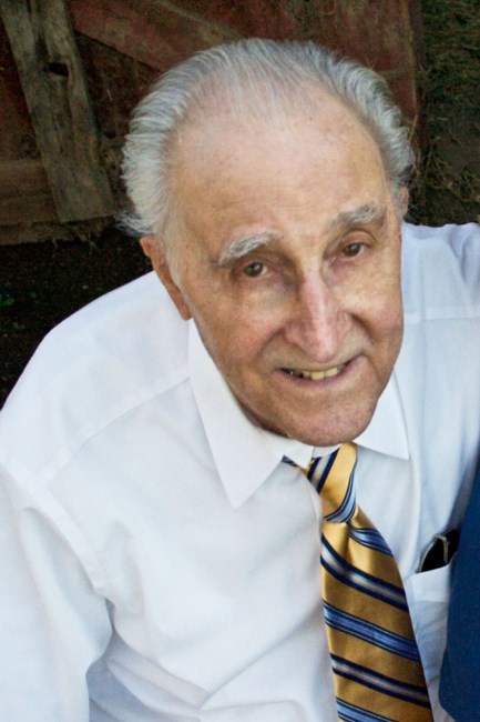 Obituary of Anthony A. Disernia