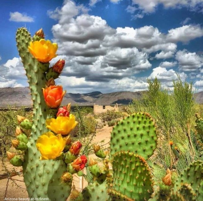 Obituary of Latisha Juanita Vasquez